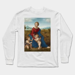 Madonna in the Meadow by Raphael Long Sleeve T-Shirt